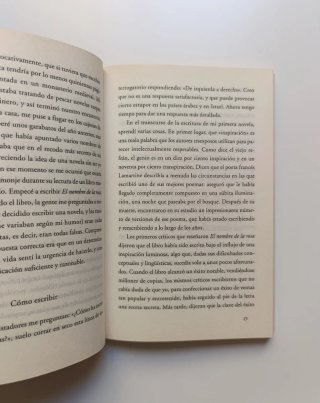 Confesiones de un joven novelista.