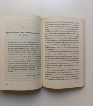 Confesiones de un joven novelista.