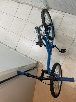 Bicicleta Infantil Romester 20