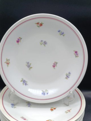 Set platos porcelana francesa UML