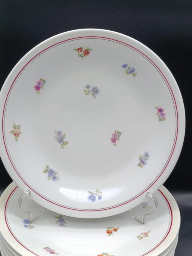 Set platos porcelana francesa UML