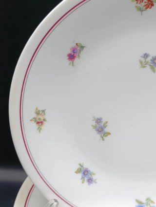 Set platos porcelana francesa UML
