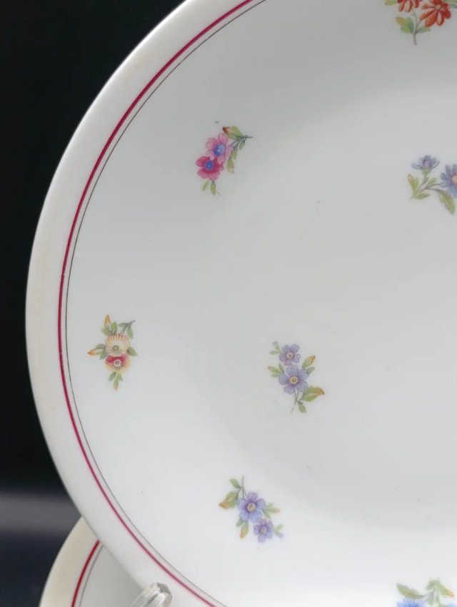 Set platos porcelana francesa UML