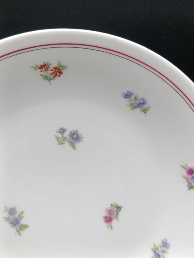 Set platos porcelana francesa UML