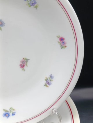 Set platos porcelana francesa UML