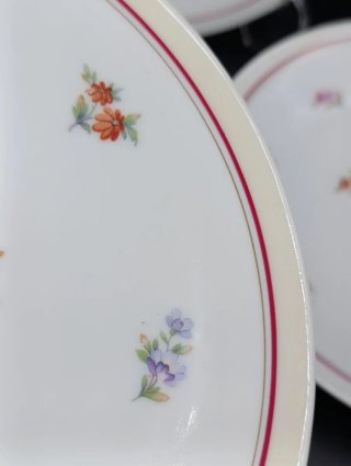 Set platos porcelana francesa UML