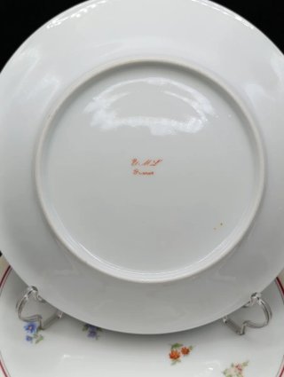 Set platos porcelana francesa UML