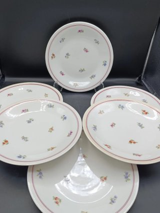 Set platos porcelana francesa UML