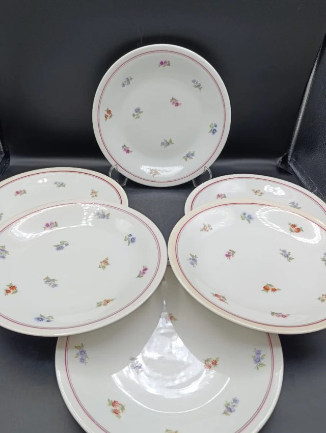 Set platos porcelana francesa UML