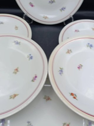 Set platos porcelana francesa UML