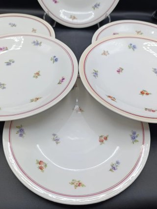 Set platos porcelana francesa UML