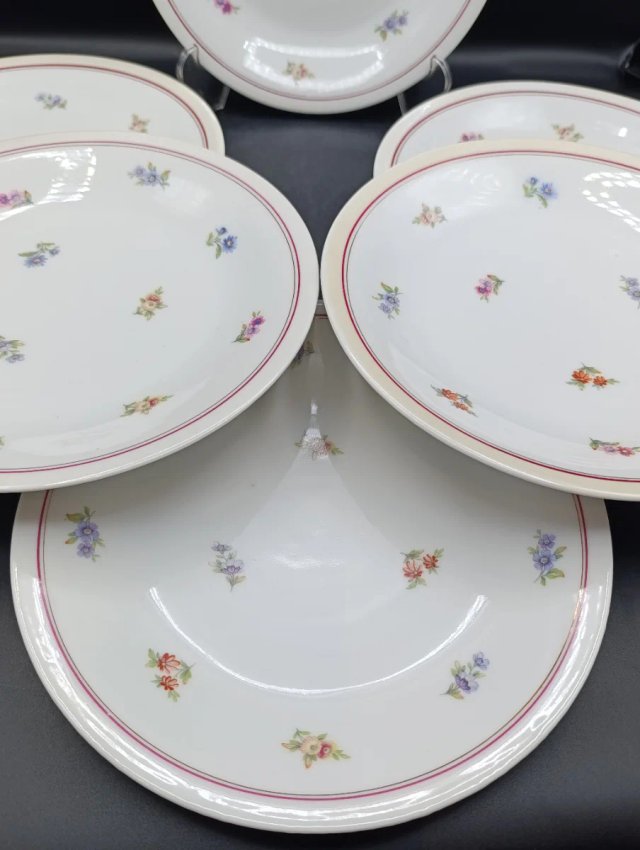 Set platos porcelana francesa UML
