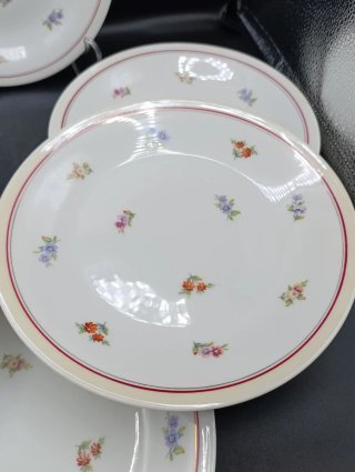 Set platos porcelana francesa UML