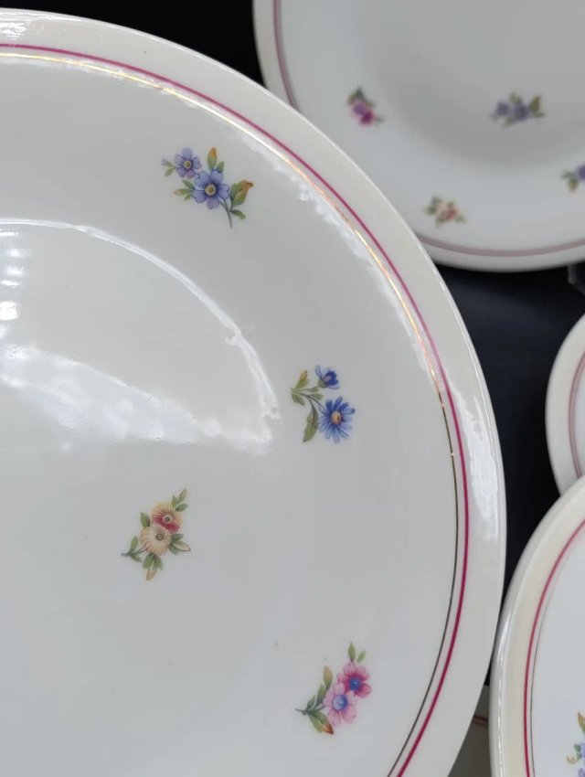 Set platos porcelana francesa UML