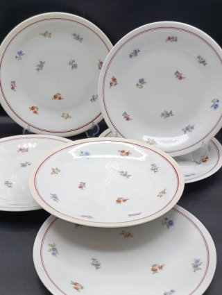 Set platos porcelana francesa UML