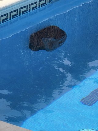 Limpiafondos Beatbot Piscina Negro/Gris