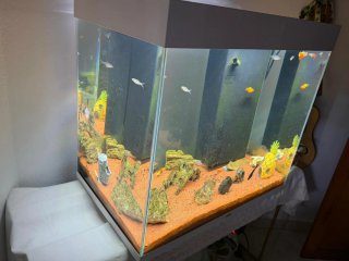 Pecera de cristal y plástico