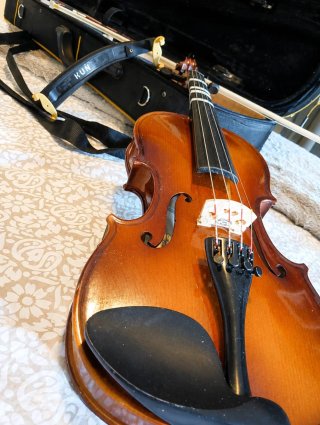 Violín 3/4 OQAN para aprendizaje