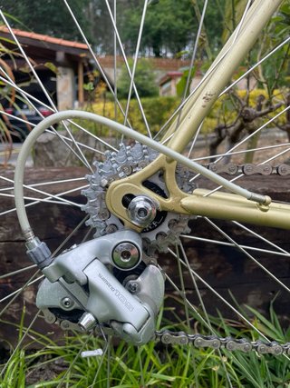 Bicicleta Olmo Cadete Dorada