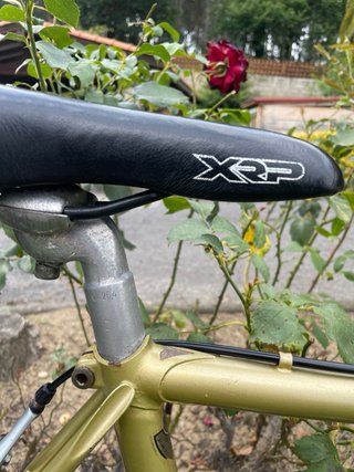 Bicicleta Olmo Cadete Dorada