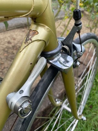 Bicicleta Olmo Cadete Dorada