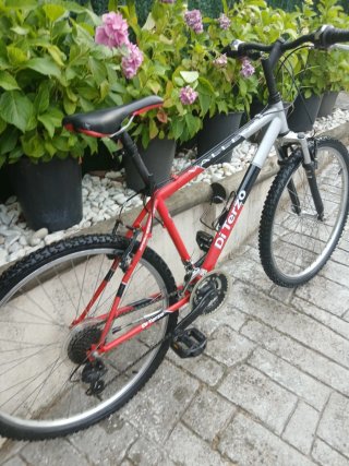 Bicicleta de montaña Di Terzo roja