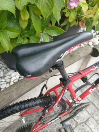 Bicicleta de montaña Di Terzo roja