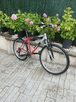 Bicicleta de montaña Di Terzo roja