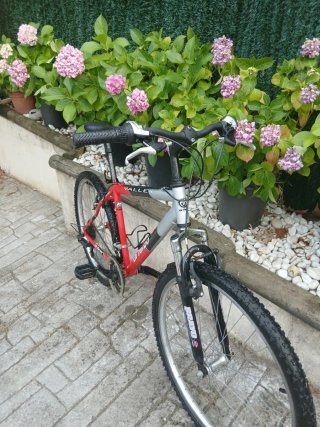 Bicicleta de montaña Di Terzo roja