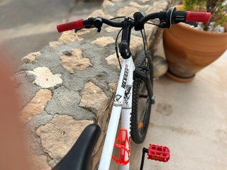 Bicicleta infantil, B’Twin Rockrider 300 Junior