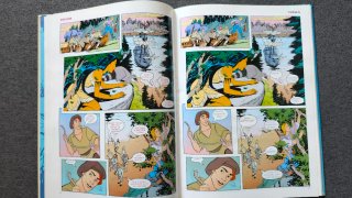 Lote 12 libros Disney - Bilingüe Catalán Inglés