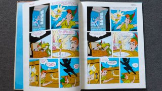 Lote 12 libros Disney - Bilingüe Catalán Inglés