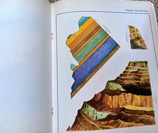Mi primer libro de ciencias