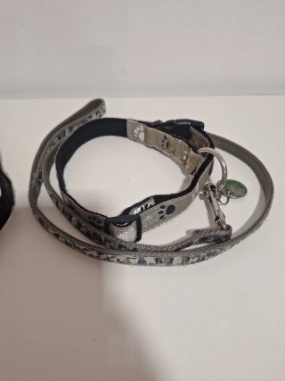 Collar y arnés para perro
