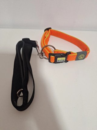 Collar y arnés para perro