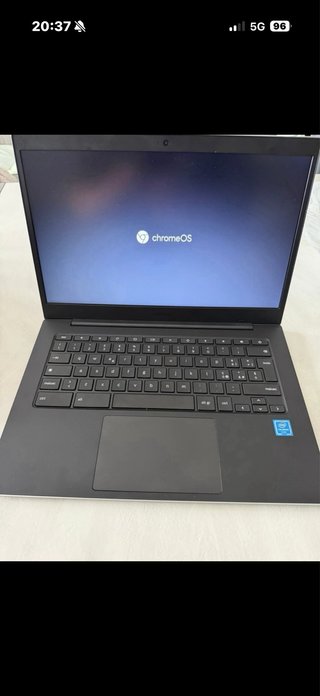 Chromebook Samsung Argento