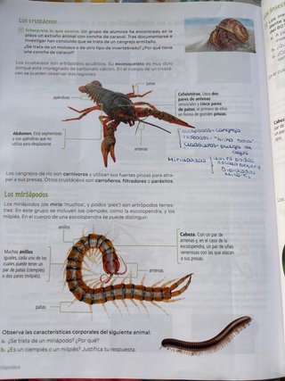 Biología y Geología. 1 Secundaria. Revuela. Aragón