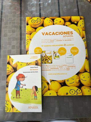 Vacaciones Anaya primaria 2