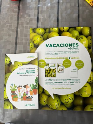 Vacaciones Anaya primaria 3