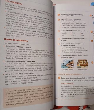 Lengua Castellana 5 primaria Santillana