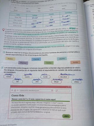 Lengua castellana y literatura