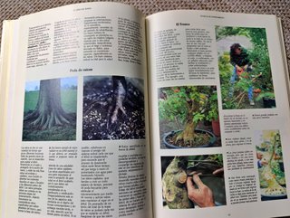 El libro del Bonsai-Dan Barton - Blume