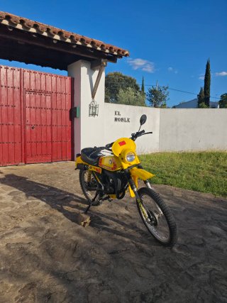 Puch Minicross TT