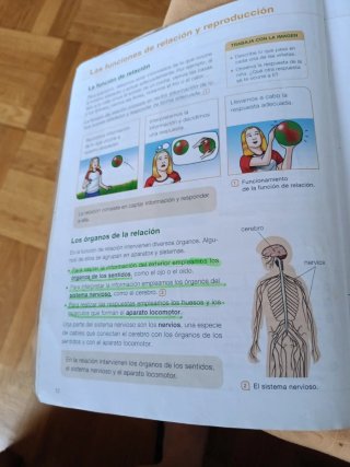Ciencias de la naturaleza, 3 Primaria