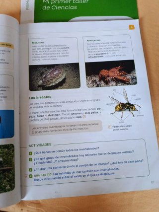 Ciencias de la naturaleza, 3 Primaria
