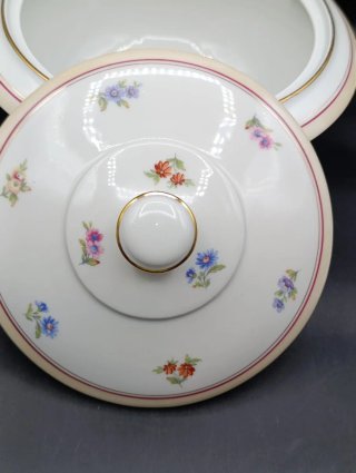 Sopera porcelana francesa UML