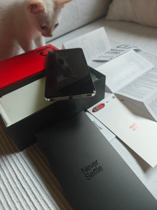 OnePlus 13 GLOBAL