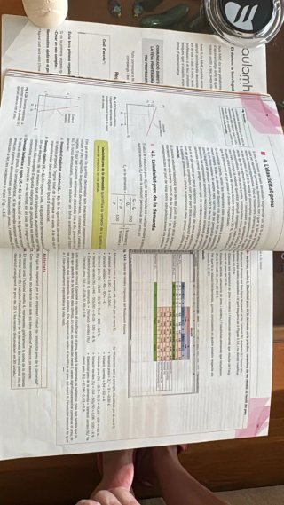 Economia 1r Batxillerat - Mediterrània