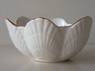 Cuenco Aynsley porcelana flores mariposa