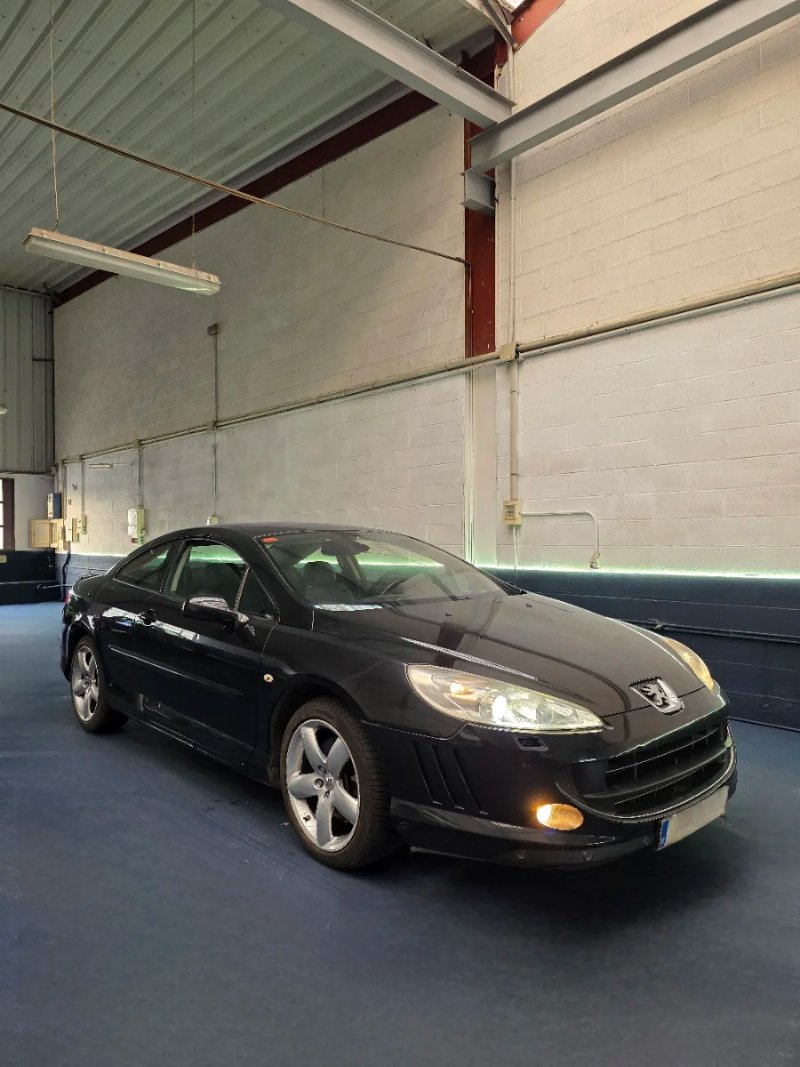 Peugeot 407 2.7 HDI V6 - foto 1